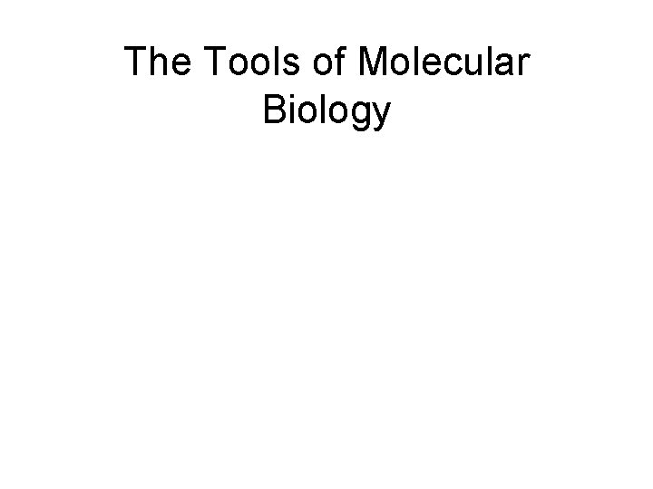 The Tools of Molecular Biology 