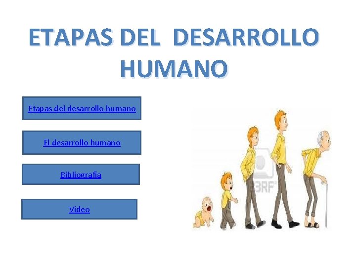 ETAPAS DEL DESARROLLO HUMANO Etapas del desarrollo humano El desarrollo humano Bibliografía Video 