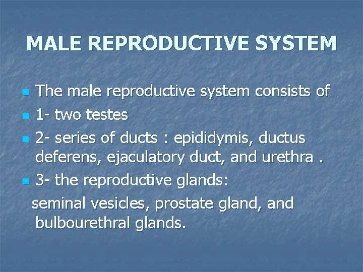 MALE REPRODUCTIVE SYSTEM The male reproductive system consists of n 1 - two testes