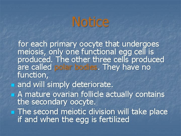Notice n n n for each primary oocyte that undergoes meiosis, only one functional