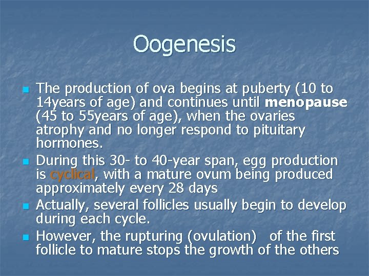Oogenesis n n The production of ova begins at puberty (10 to 14 years