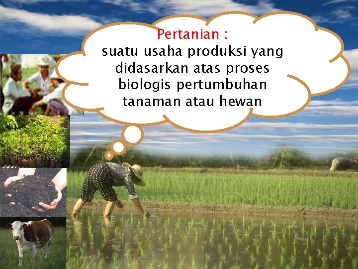 Pertanian : suatu usaha produksi yang didasarkan atas proses biologis pertumbuhan tanaman atau hewan
