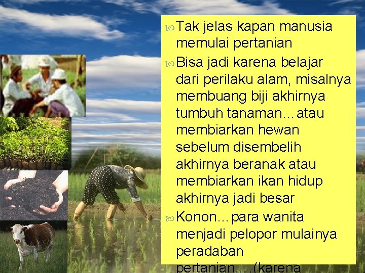  Tak jelas kapan manusia memulai pertanian Bisa jadi karena belajar dari perilaku alam,