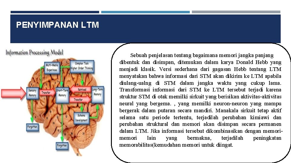 PENYIMPANAN LTM Sebuah penjelasan tentang bagaimana memori jangka panjang dibentuk dan disimpan, ditemukan dalam