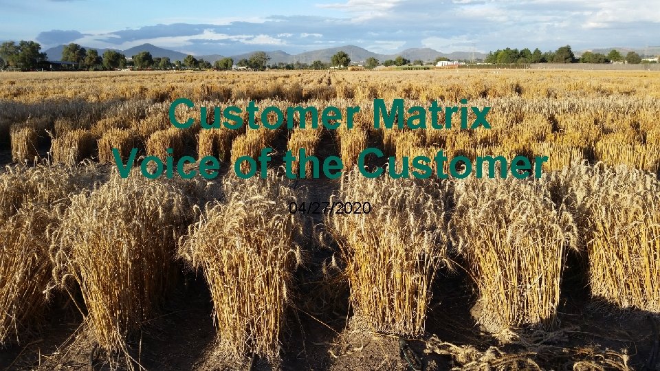 Customer Matrix Voice of the Customer 04/27/2020 