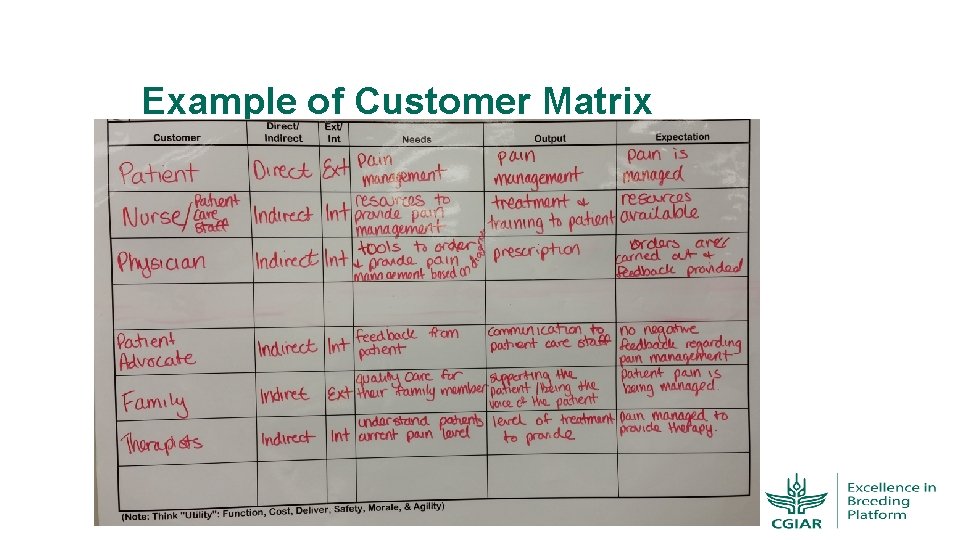 Example of Customer Matrix 