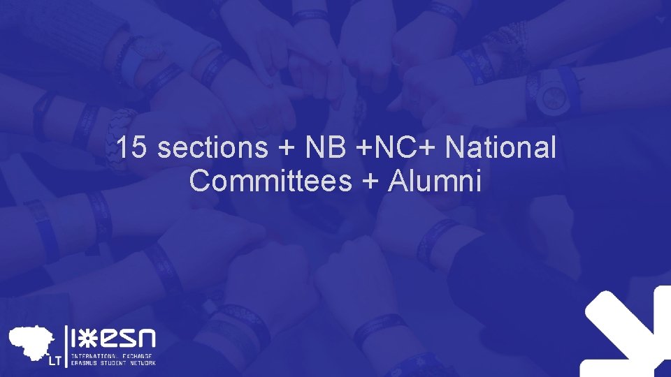 15 sections + NB +NC+ National Committees + Alumni 