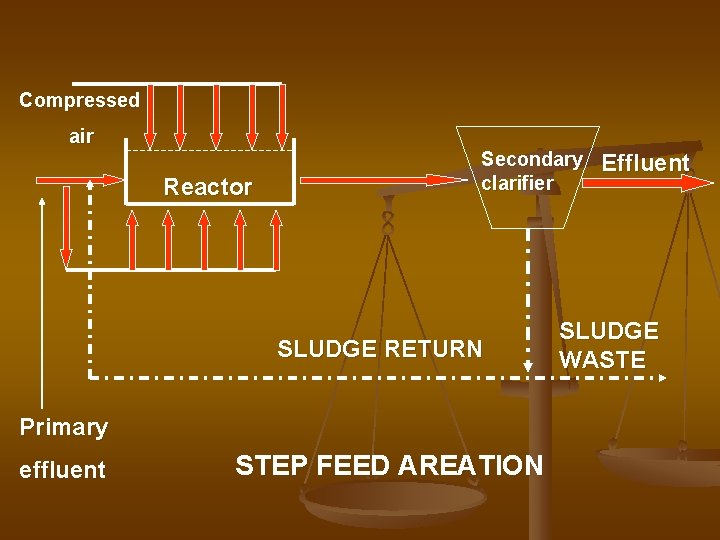 Compressed air Reactor Secondary clarifier SLUDGE RETURN Primary effluent STEP FEED AREATION Effluent SLUDGE