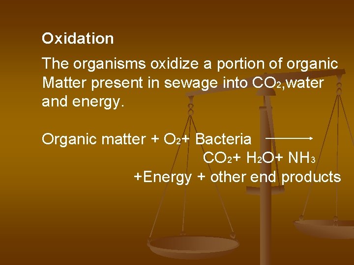 Oxidation The organisms oxidize a portion of organic Matter present in sewage into CO