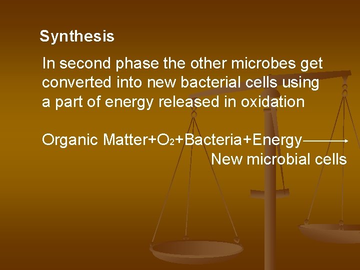 Synthesis In second phase the other microbes get converted into new bacterial cells using