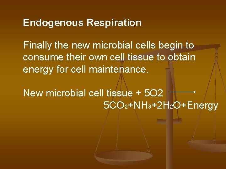 Endogenous Respiration Finally the new microbial cells begin to consume their own cell tissue