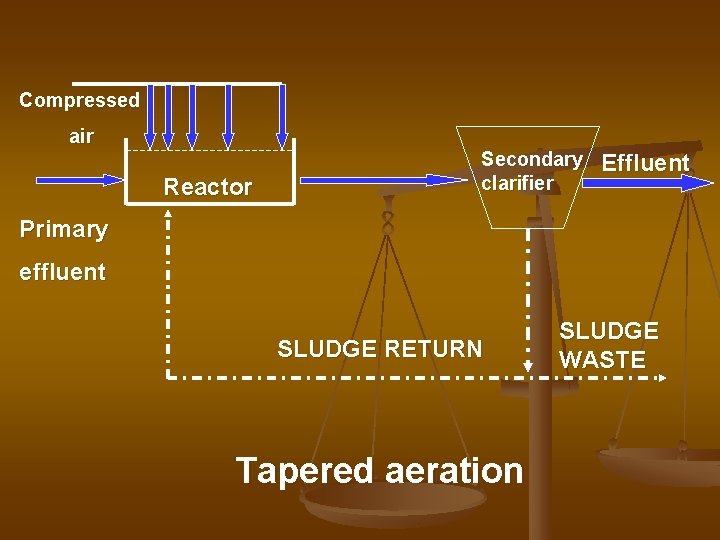Compressed air Reactor Secondary clarifier Effluent Primary effluent SLUDGE RETURN Tapered aeration SLUDGE WASTE