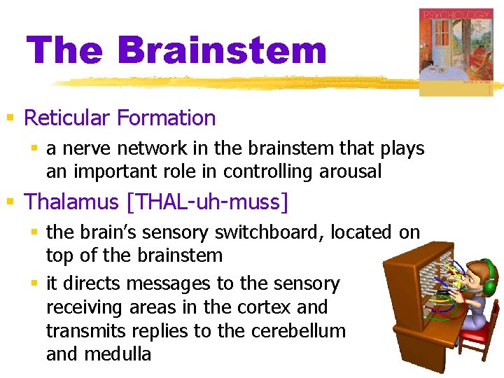The Brainstem § Reticular Formation § a nerve network in the brainstem that plays