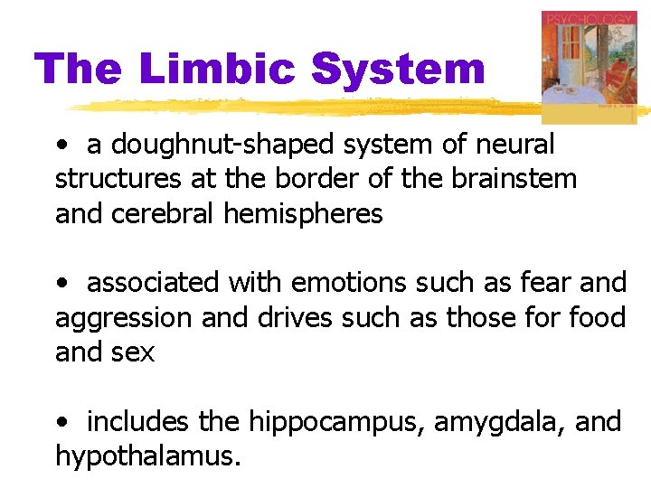 The Limbic System • a doughnut-shaped system of neural structures at the border of