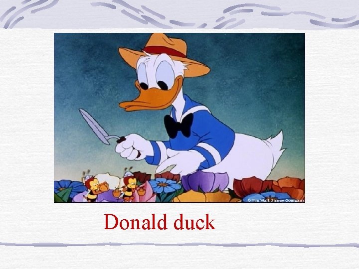 Donald duck 