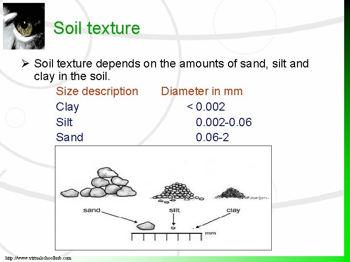 Soil texture depends on the amounts of sand, silt and clay in the soil.