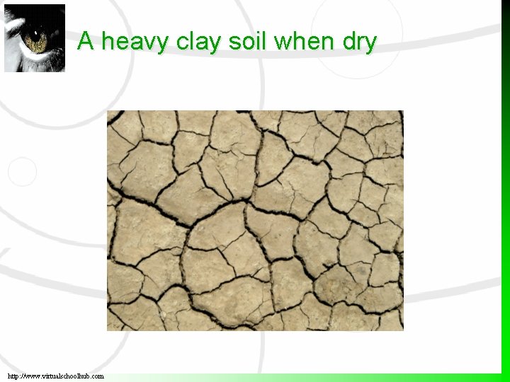 A heavy clay soil when dry http: //www. virtualschoolhub. com 