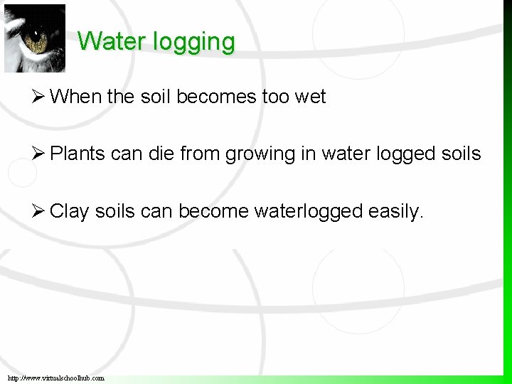 Water logging When the soil becomes too wet Plants can die from growing in