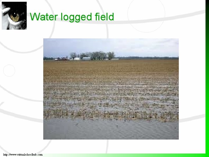 Water logged field http: //www. virtualschoolhub. com 