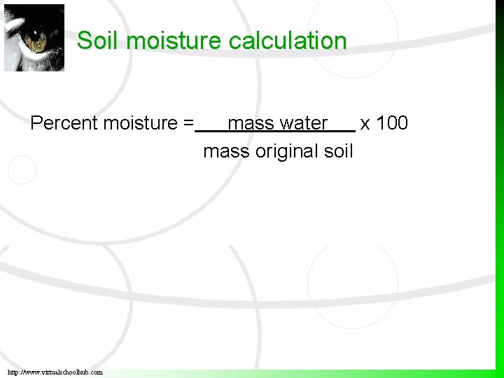 Soil moisture calculation Percent moisture = http: //www. virtualschoolhub. com mass water x 100