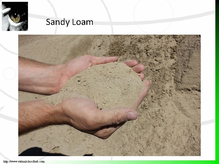 Sandy Loam http: //www. virtualschoolhub. com 