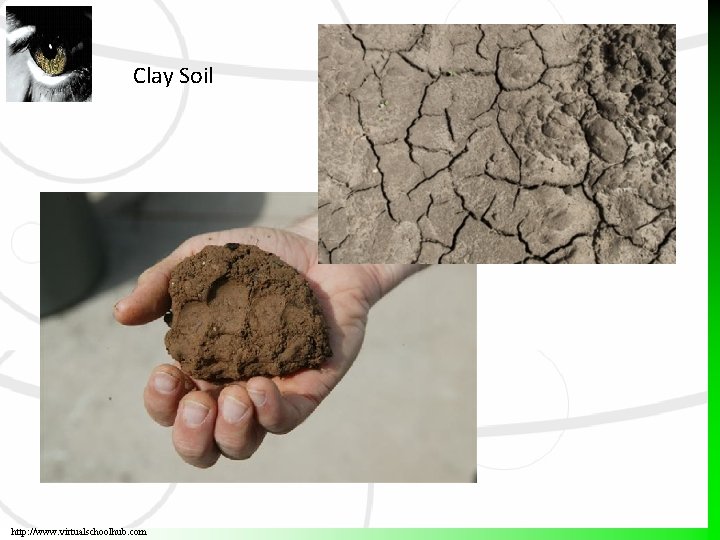 Clay Soil http: //www. virtualschoolhub. com 