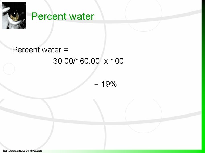 Percent water = 30. 00/160. 00 x 100 = 19% http: //www. virtualschoolhub. com