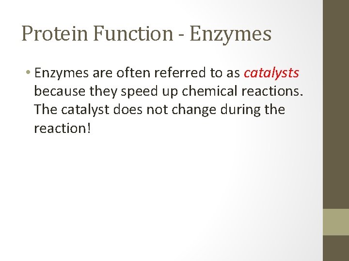 Protein Function - Enzymes • Enzymes are often referred to as catalysts because they