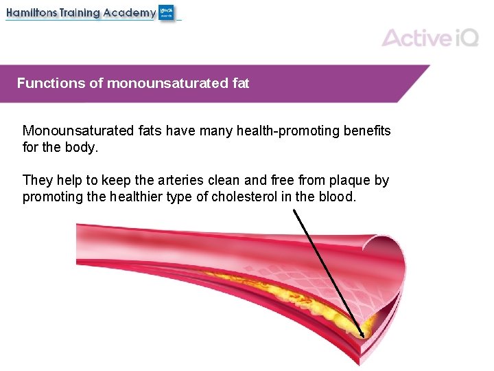 Functions of monounsaturated fat Monounsaturated fats have many health-promoting benefits for the body. They