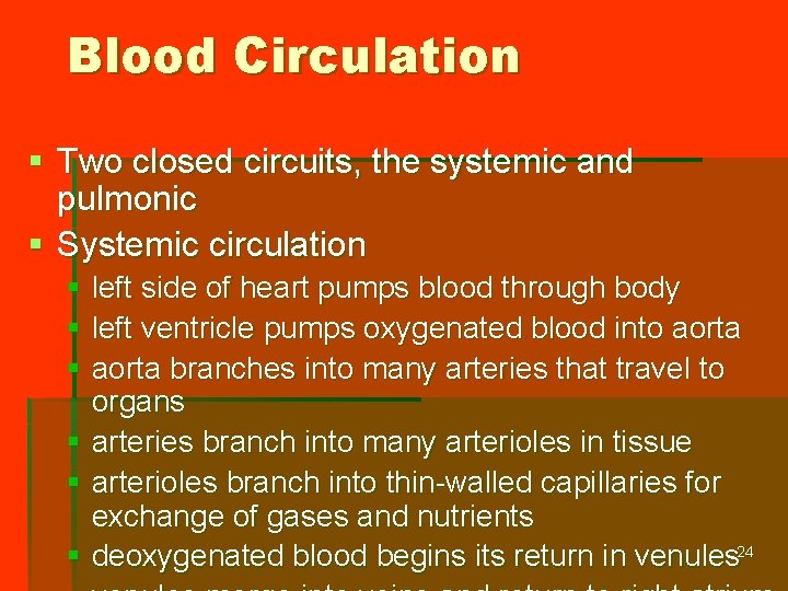 Blood Circulation § Two closed circuits, the systemic and pulmonic § Systemic circulation §