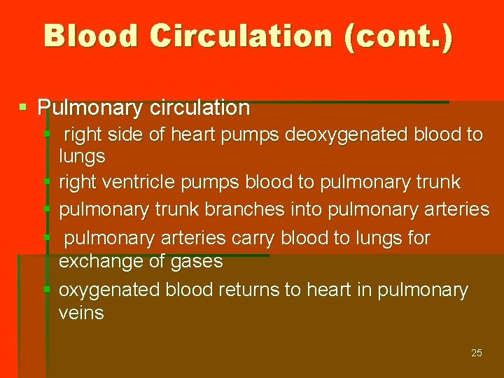 Blood Circulation (cont. ) § Pulmonary circulation § right side of heart pumps deoxygenated