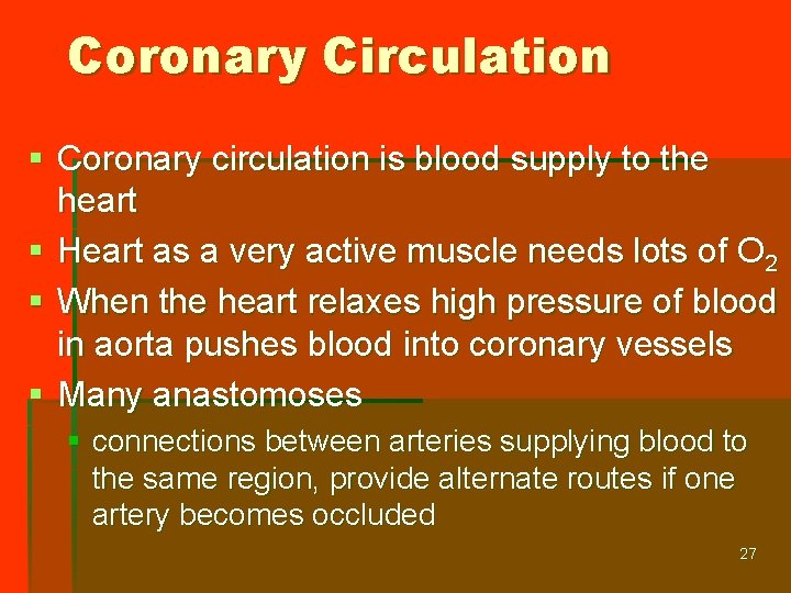 Coronary Circulation § Coronary circulation is blood supply to the heart § Heart as