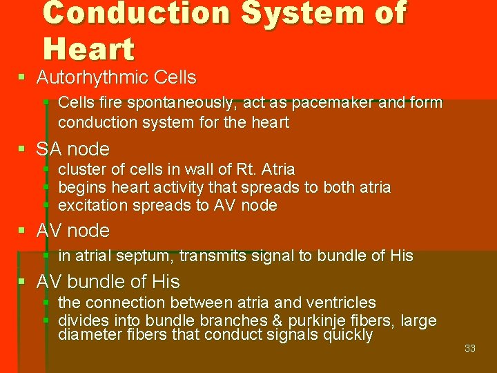 Conduction System of Heart § Autorhythmic Cells § Cells fire spontaneously, act as pacemaker