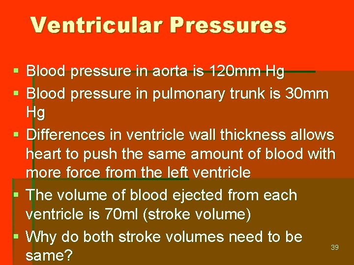 Ventricular Pressures § Blood pressure in aorta is 120 mm Hg § Blood pressure