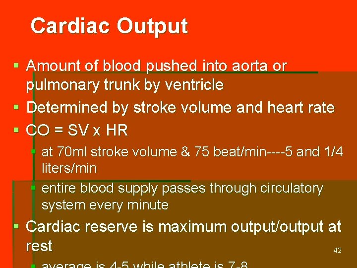 Cardiac Output § Amount of blood pushed into aorta or pulmonary trunk by ventricle