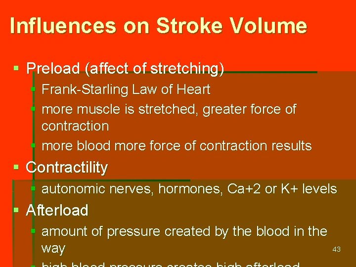 Influences on Stroke Volume § Preload (affect of stretching) § Frank-Starling Law of Heart