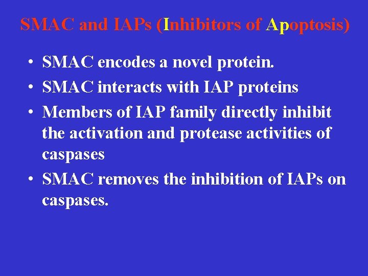 SMAC and IAPs (Inhibitors of Apoptosis) • SMAC encodes a novel protein. • SMAC