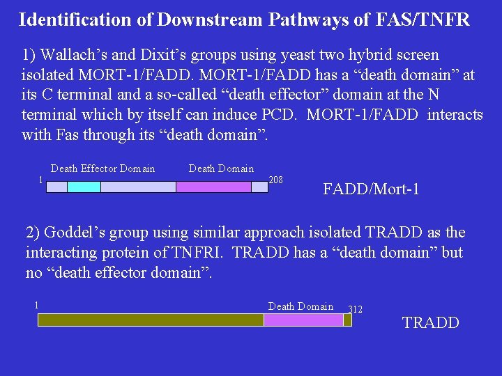 Identification of Downstream Pathways of FAS/TNFR 1) Wallach’s and Dixit’s groups using yeast two