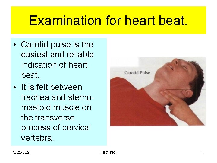 Examination for heart beat. • Carotid pulse is the easiest and reliable indication of Examination for heart beat. • Carotid pulse is the easiest and reliable indication of