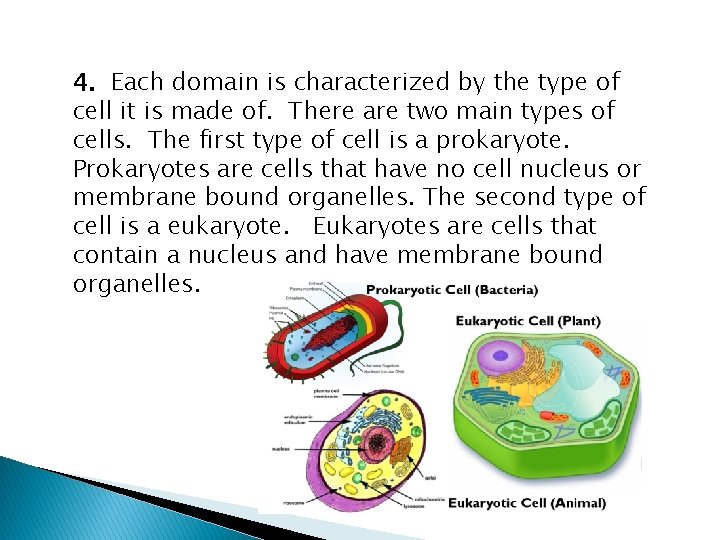4. Each domain is characterized by the type of cell it is made of.