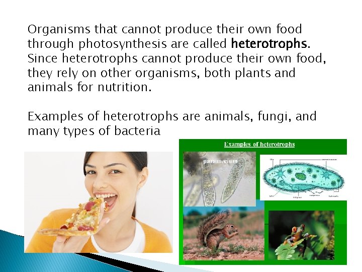 Organisms that cannot produce their own food through photosynthesis are called heterotrophs. Since heterotrophs