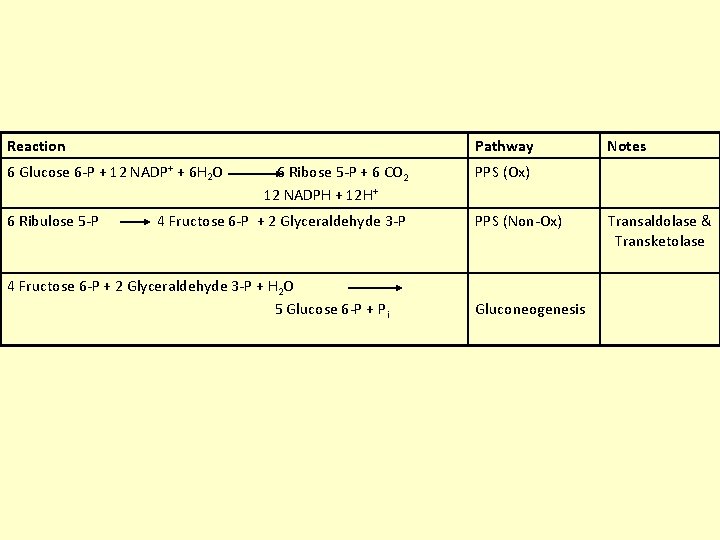 Reaction Pathway 6 Glucose 6 -P + 12 NADP+ + 6 H 2 O