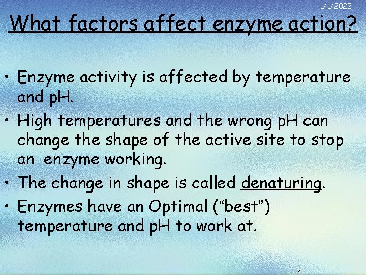 1/1/2022 What factors affect enzyme action? • Enzyme activity is affected by temperature and