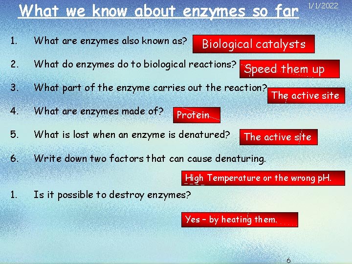 What we know about enzymes so far 1. What are enzymes also known as?