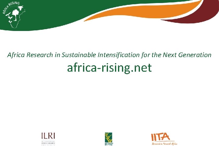 Africa Research in Sustainable Intensification for the Next Generation africa-rising. net 