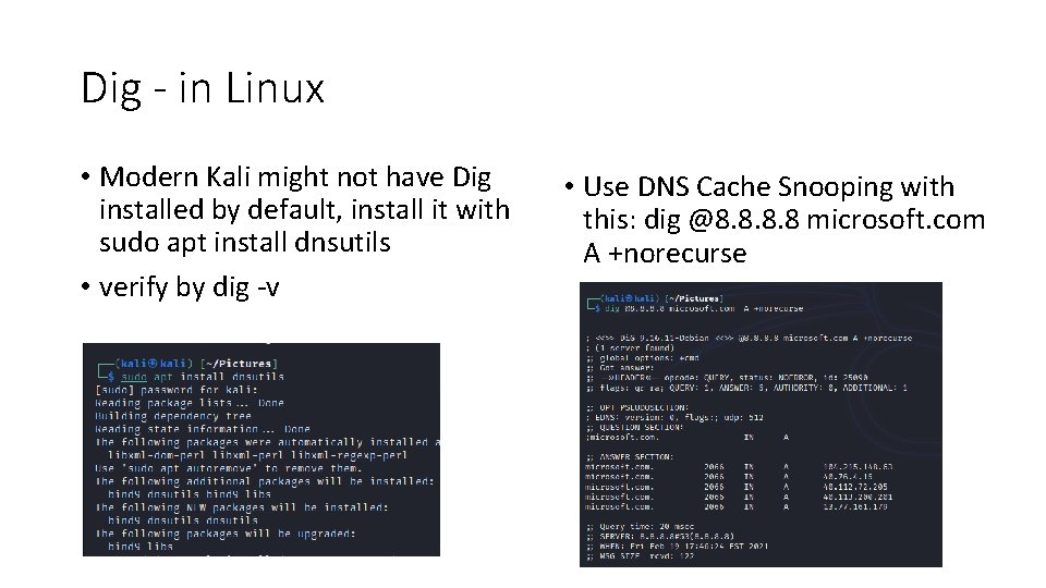 Dig - in Linux • Modern Kali might not have Dig installed by default,