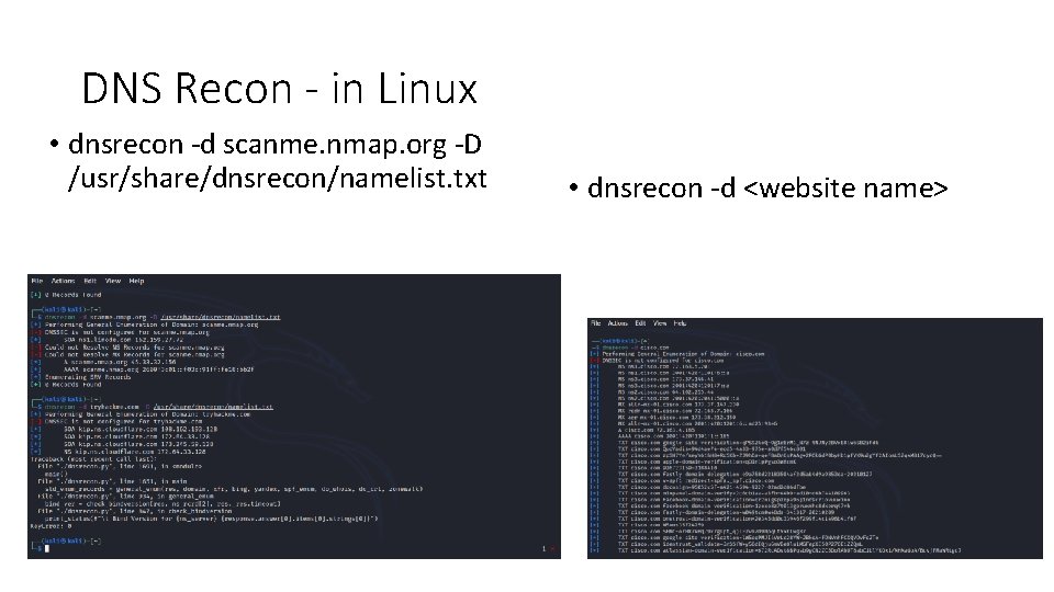 DNS Recon - in Linux • dnsrecon -d scanme. nmap. org -D /usr/share/dnsrecon/namelist. txt