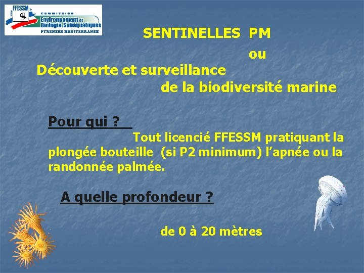 SENTINELLES PM ou Découverte et surveillance de la biodiversité marine Pour qui ? Tout