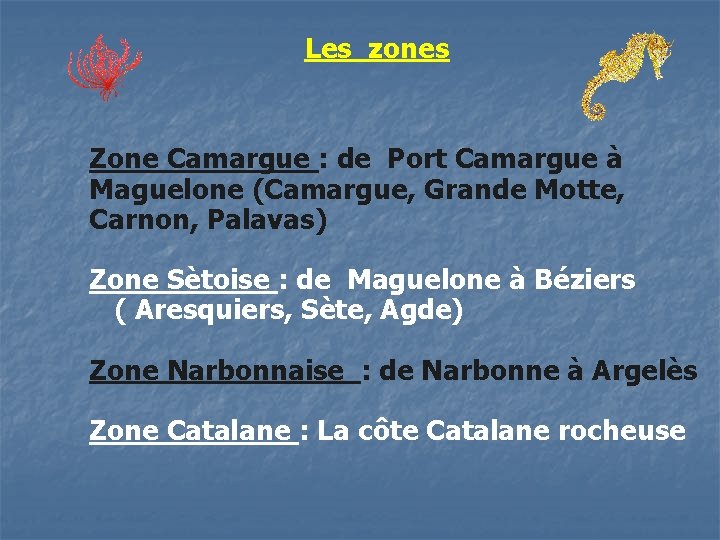 Les zones Zone Camargue : de Port Camargue à Maguelone (Camargue, Grande Motte, Carnon,