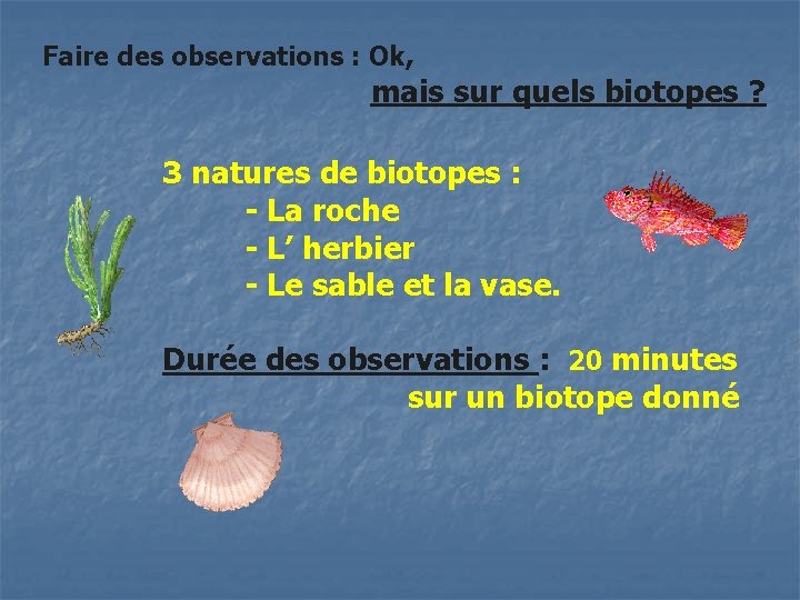Faire des observations : Ok, mais sur quels biotopes ? 3 natures de biotopes